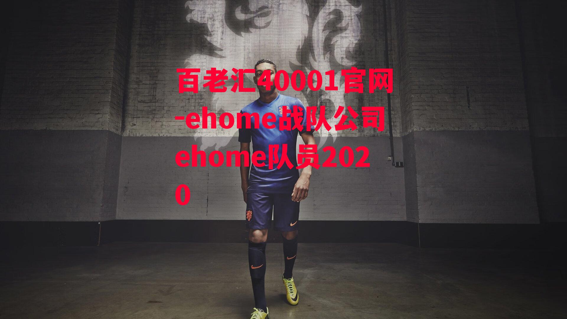 ehome战队公司ehome队员2020